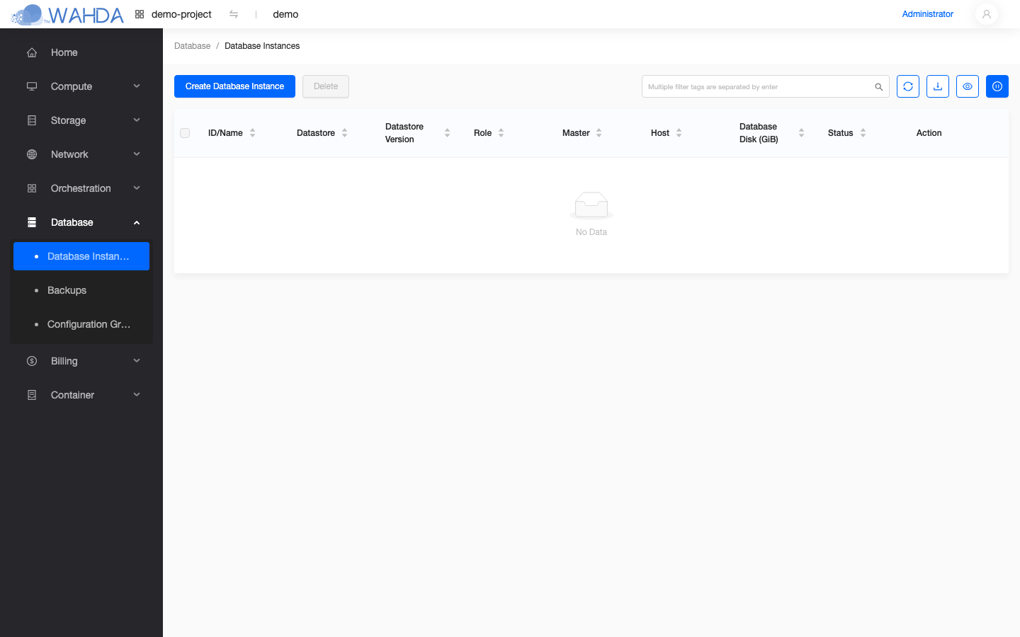 Database Instances list in the console
