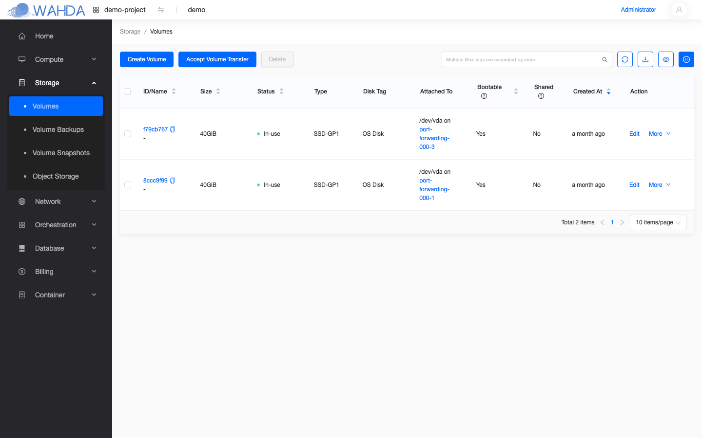 Storage › Volumes list showing attached volumes